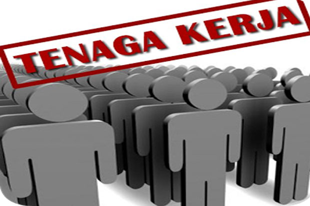 24.000 Kesempatan Kerja...
