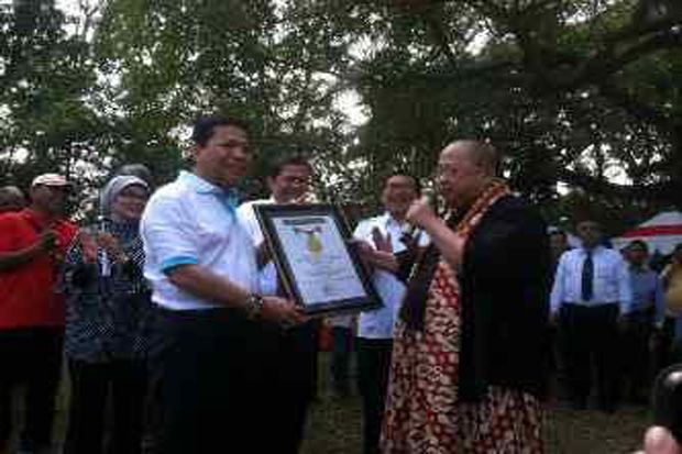 Gelar Lomba Panjat Bambu,...
