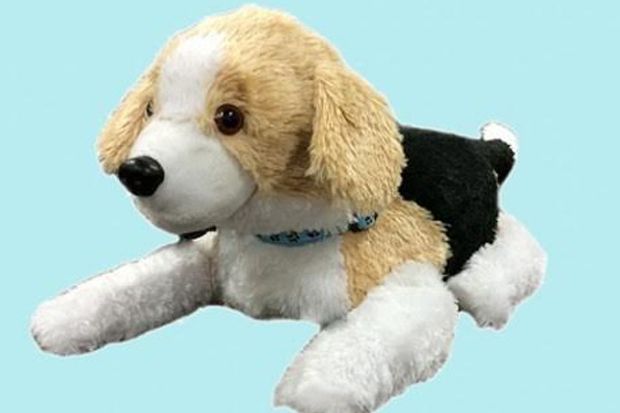 Robot Beagle, Alternatif...