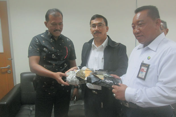 Pengiriman 7 Kg Ganja...
