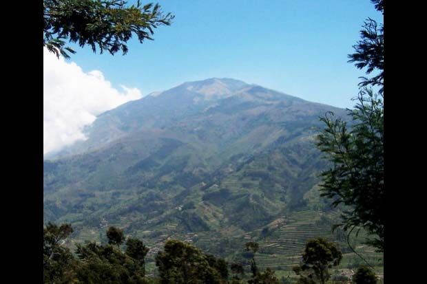 Kebakaran Landa Gunung...