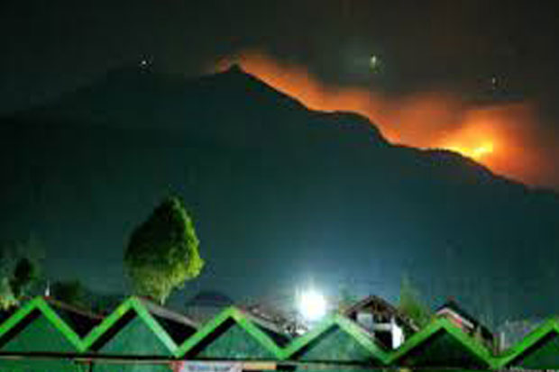 Kebakaran Area Gunung...