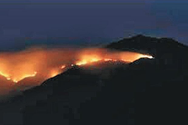 Kobaran Api di Merbabu...