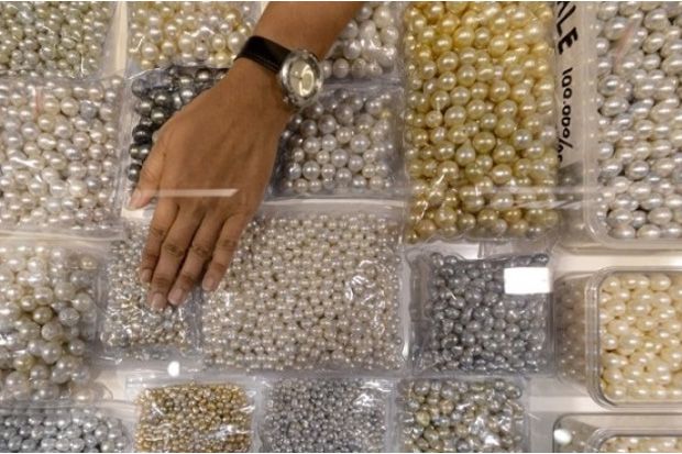 Lombok Sumbawa Pearl...