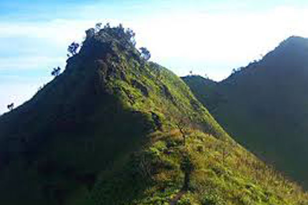Jalur Pendakian Merbabu...