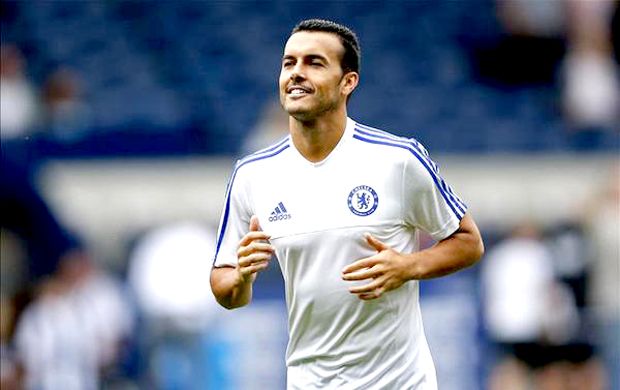 Pedro : Matador Baru...