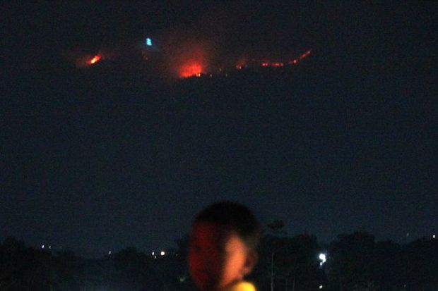 Hutan di Gunung Lawu...