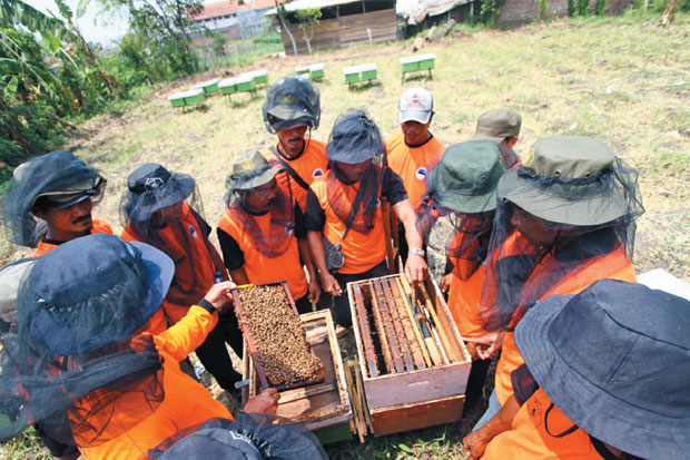 Warga Hutan Dilatih...