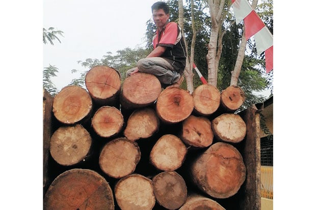 Dua Truk Bawa Kayu Ilegal...