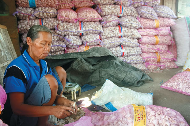 Harga Bawang Putih Naik...
