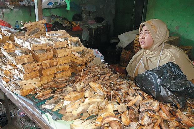 Harga Ikan Laut Turun