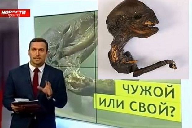 Heboh, Makhluk Misterius...