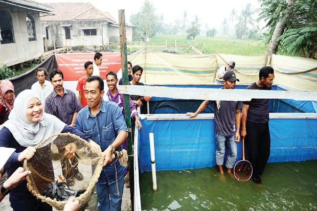 Pertamina-Posdaya Panen...