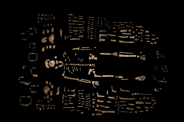 Homo Naledi di Afsel,...