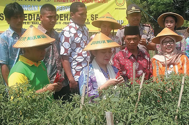Petani Keluhkan Anjloknya...