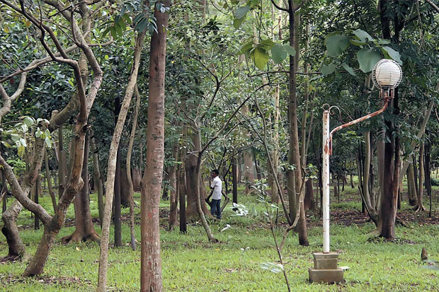 Revitalisasi Hutan Kota...