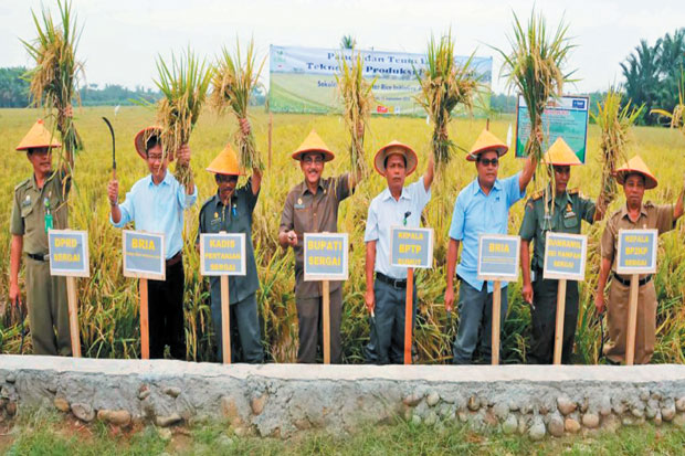 Setiap Hektare Sawah...