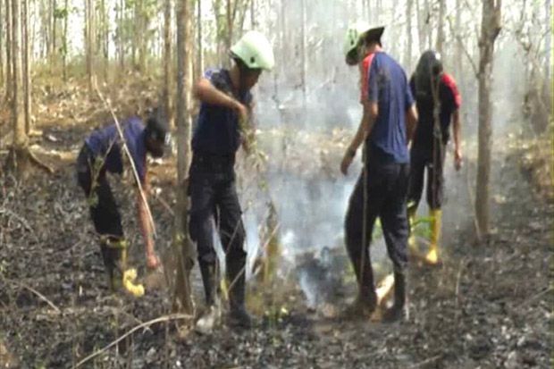 30 Hektare Hutan Jati...