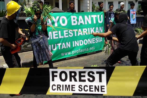 Profauna Sebut Hutan...
