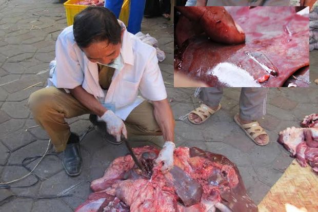 Daging Kurban di Yogyakarta...