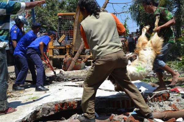 Tembok Pasar Hewan Langon...
