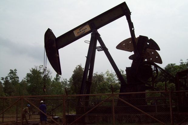 Pertamina Buka Opsi...