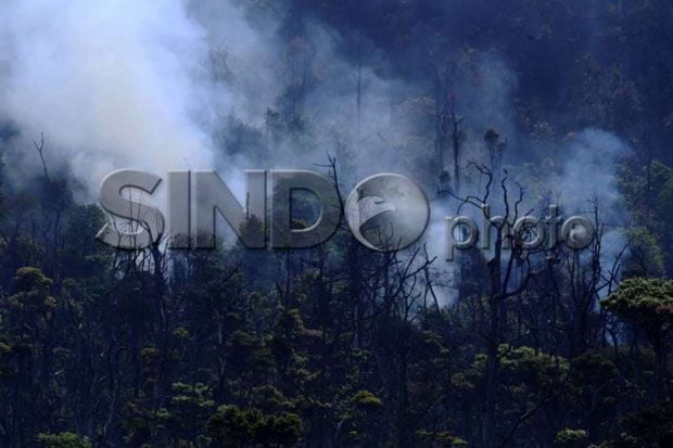 BNPB Ingatkan Dampak...