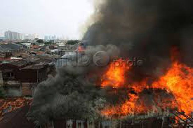 Si Jago Merah Mengamuk...