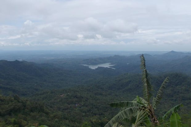 Hutan di Perbukitan...