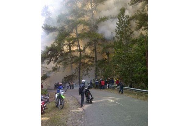 5 Ha Hutan di Perbatasan...