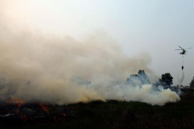 Dihadang Kabut Asap,...