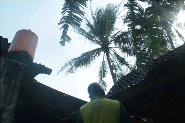Ribuan Pohon Kelapa...