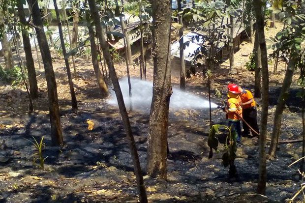 Hutan Jati di Imogiri...
