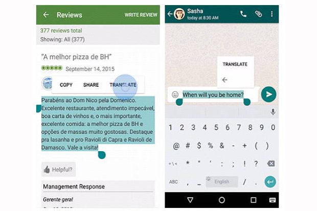 Update Google Translate...