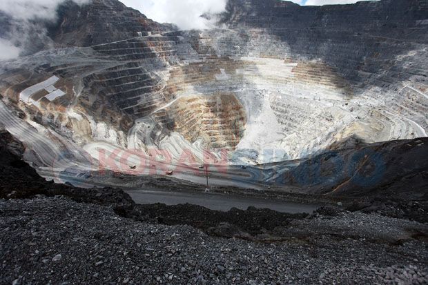 Divestasi Saham Freeport