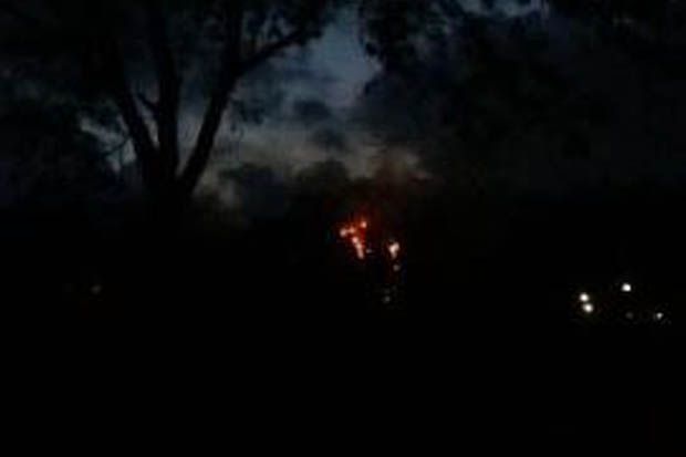 Kobaran Api di Hutan...