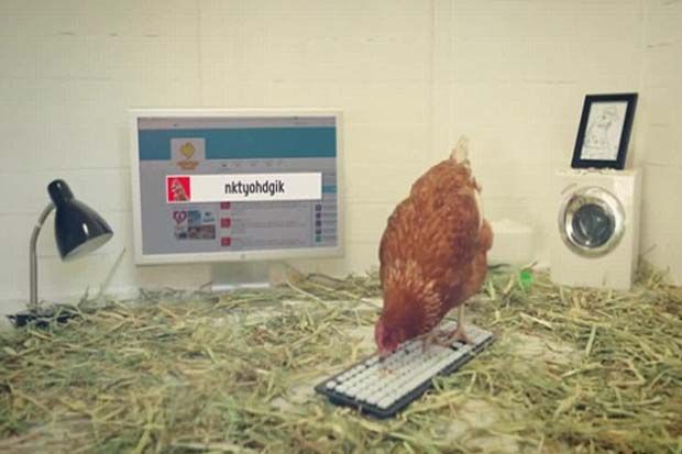 Seekor Ayam Promosi...