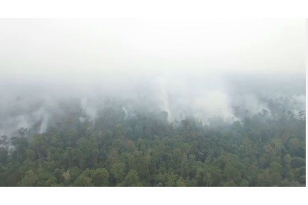Polda Riau Tetapkan...