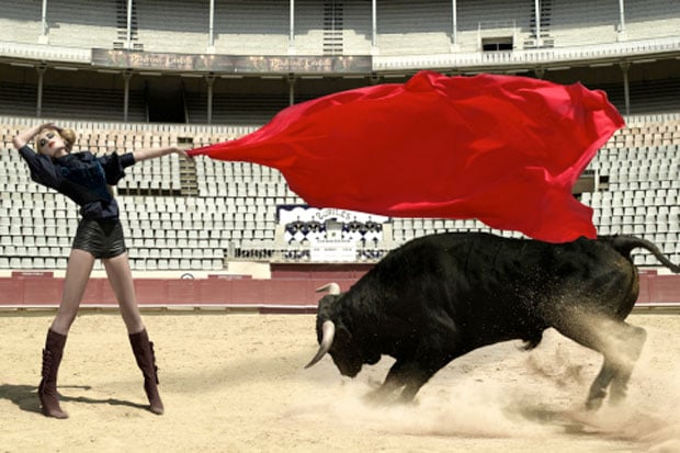 Banteng sedang Birahi...