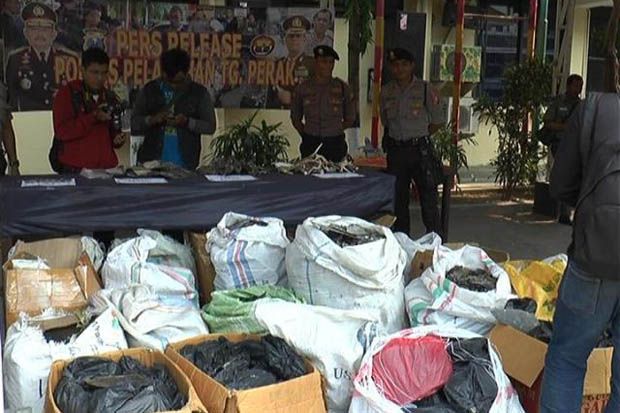 Polisi Gagalkan Penyelundupan...