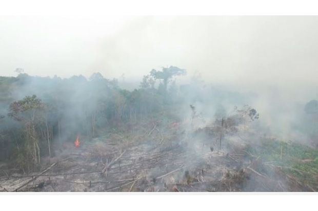 Aliansi Relawan Jokowi...