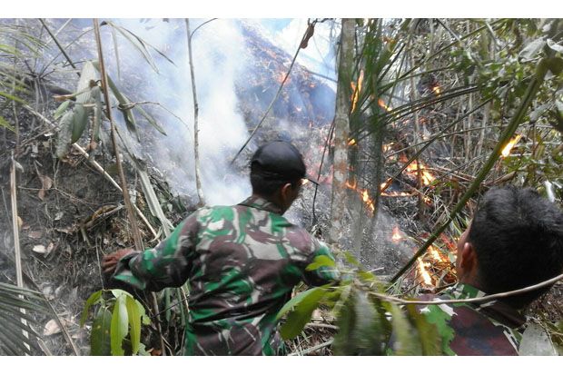 10 Ha Hutan Cagar Alam...