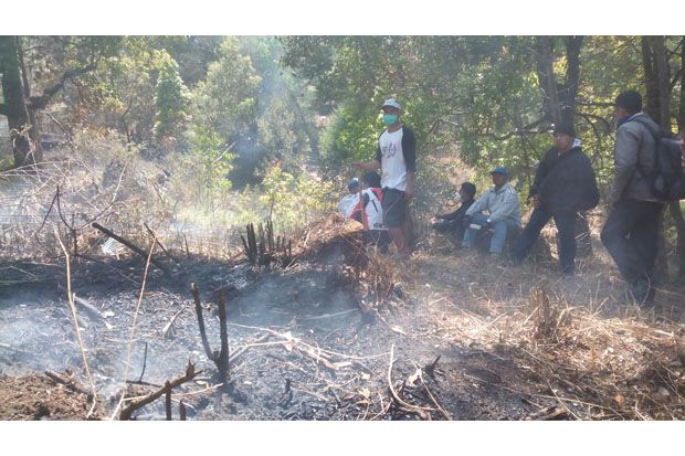 Kebakaran Gunung Lawu...