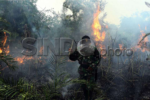 WRI Sebut Indonesia...