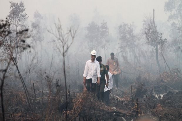Jokowi Minta Kemenhut...