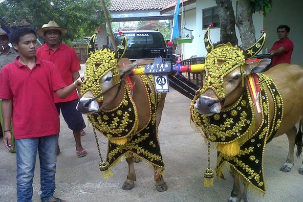 Ini Rahasia Setan Balap...