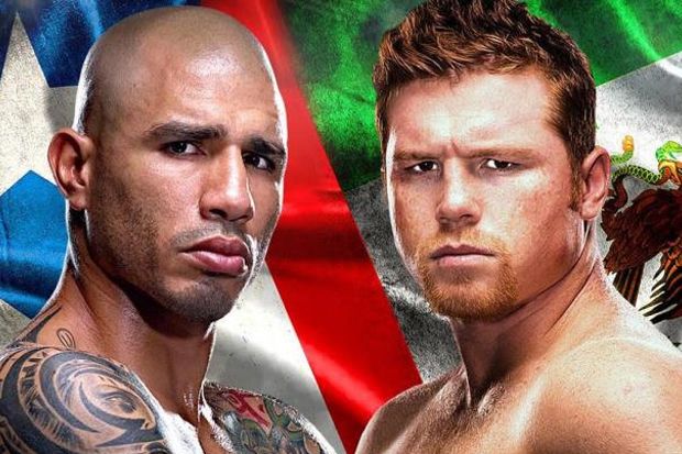 Roach Sesumbar Cotto...