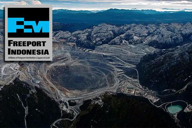 Jatam: Polemik Freeport...