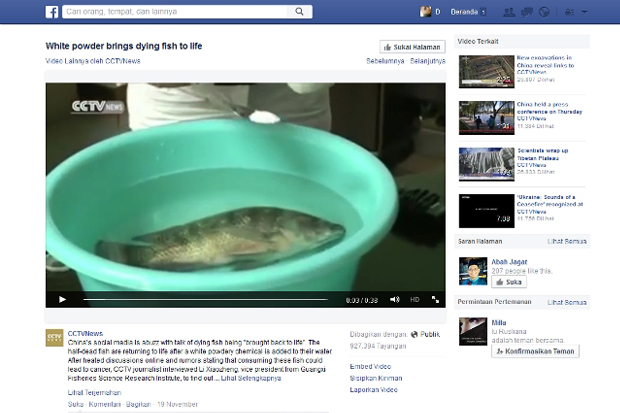 Beware, Dying Fish Back...