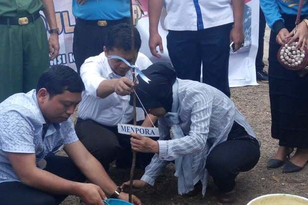 Pemuda Dikerahkan Hijaukan...
